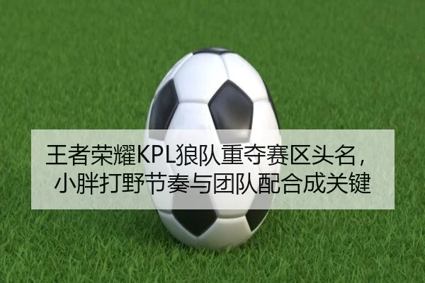 wang-zhe-rong-yao-lang-dui-zhong-duo-sai-qu-tou-ming-xiao-pang-da-ye-jie-zou-yu-tuan-dui-pei-he-cheng-guan-jian-3-257.jpg
