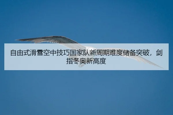 zi-you-shi-hua-xue-kong-zhong-ji-qiao-guo-jia-dui-xin-zhou-qi-nan-du-chu-bei-tu-po-jian-zhi-dong-ao-xin-gao-du-2-193.jpg